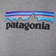 Patagonia P-6 Logo Uprisal hanorac cu glugă cu glugă 7
