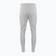 Pantaloni bărbați Nike FLC Park 20 gri CW6907-063 2
