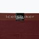 Pantaloni termici pentru femei Icebreaker 200 Oasis maro IB1043830641 10