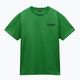 Tricou pentru bărbați  Napapijri S-Linth green kelly 5