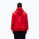 Hanorac pentru bărbați Napapijri Burgee Half Zip Hooded 2.0 red goji 3