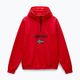 Hanorac pentru bărbați Napapijri Burgee Half Zip Hooded 2.0 red goji 5