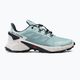 Pantofi de alergare pentru femei Salomon Supercross 4 GTX verde L41737300 2