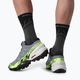 Pantofi de alergare Salomon Speedcross 6 GTX bărbați flint/grgeck/negru 5