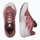Salomon Pulsar Trail pantofi de alergare pentru femei piele de vacă/ashes of roses/pink glo 15