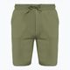 Pantaloni scurți pentru bărbați Napapijri Nalis Sum green lichen 6