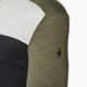 Bărbați Smartwool Classic Thermal Merino Merino Base Layer Colorblock Crew Boxed Verde T-shirt 16354 3