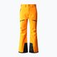 Pantaloni de schi pentru bărbați The North Face Chakal portocaliu NF0A5IYV78M1 5