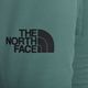 Pantaloni de schi pentru bărbați The North Face Chakal dark sage 3