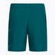 Pantaloni scurți de antrenament pentru bărbați Under Armour Woven Wdmk hydro teal/radial turquoise 6