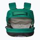 Rucsac turistic The North Face Borealis 28 l evergreen/black 4