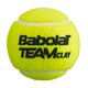 Set de mingi de tenis 4 buc. BABOLAT Team Clay 4 galben 502080 3