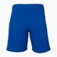 Pantaloni scurți de tenis Tecnifibre Stretch albastru pentru copii 23STRE 2