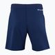 Pantaloni scurți de tenis pentru bărbați Tecnifibre Team albastru marin 23SHOMAR35 3