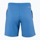 Pantaloni scurți de tenis pentru bărbați Tecnifibre Team blue 23SHOMAZ35 3