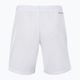Pantaloni scurți de tenis pentru bărbați Tecnifibre Team alb 23SHOMWH35 3
