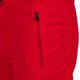 Pantaloni de schi pentru bărbați Rossignol Siz sport roșu 5