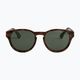Ochelari de soare pentru femei ROXY Vertex Polarized tortoise brown/green 2