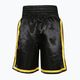 EVERLAST Comp Boxe Shorts negru EV1090 BLK/GOLD-S 2