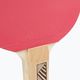 Paletă de tenis de masă DONIC Champs Line 150 FS, roșu, 705116 5