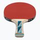 Rachetă de tenis de masă DONIC Legends 700 FSC negru 734417 2