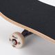 Skateboard clasic Playlife Black Panther maroon 880308 6