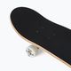 Skateboard clasic Playlife Mighty Bear 880309 6