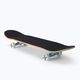 Skateboard clasic Playlife Lion albastru 880312 2