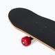 Skateboard clasic pentru copii Playlife Hotrod culoare 880325 7