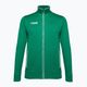 Tricou de fotbal pentru bărbați Capelli Basics Adult Training verde/alb pentru bărbați