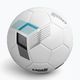 Capelli Tribeca Metro Metro Competition Hybrid Football AGE-5882 mărimea 5 4
