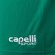 Pantaloni scurți de fotbal pentru copii Capelli Sport Cs One Adult Match verde/alb pentru copii 3