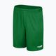 Pantaloni scurți de fotbal pentru copii Capelli Sport Cs One Adult Match verde/alb pentru copii 4