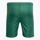 Pantaloni scurți de fotbal pentru copii Capelli Sport Cs One Youth Match verde/alb pentru copii 2