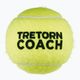Tretorn Coach 72 mingi de tenis verde 474402 2