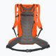 Rucsac de trekking Salewa MTN Trainer 2 28 l red orange 2