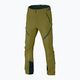 Pantaloni de schi-tour pentru bărbați DYNAFIT Mercury 2 DST verde 08-0000070743 7
