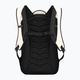 Rucsac turistic Salewa Fanes 24 l oatmeal 2