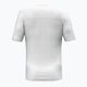 Tricou pentru bărbați Salewa Puez Sporty Dry white 2