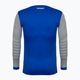 Jachetă de portar Reusch Match Padded albastru 6006 2