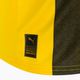 Tricoul de antrenament pentru copii PUMA Bvb Home Jersey Replica galben 765891_01 8