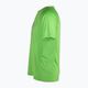 Tricou pentru bărbați FILA Riverhead verde iasomie 7