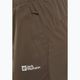 Pantaloni de trekking pentru bărbați Jack Wolfskin Prelight Pro cold coffee 4