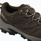 Încălțăminte de trekking Jack Wolfskin Vojo Tour Texapore Low cold coffee 5