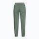 Pantaloni softshell pentru femei Jack Wolfskin Prelight verde 1508111 4