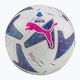 PUMA Orbit Serie A FIFA calitate Pro Fotbal 083999 01 mărimea 5 4