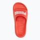 Papuci PUMA Divecat v2 Lite active red/puma white 5