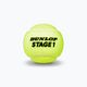 Mingi de tenis pentru copii Dunlop Stage 1 3 buc. verde 601338 3