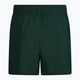 Pantaloni scurți de înot Nike Essential 5" Volley pentru bărbați, verde NESSA560-303 2