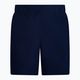 Bărbați Nike Essential 5" Volley pantaloni scurți de înot albastru marin NESSA560-440 2